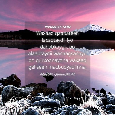 Picture 04 - Yoo'eel 3:5 SOM - Waxaad qaadateen lacagtaydii iyo dahabkaygii, oo - Bible Verse Picture