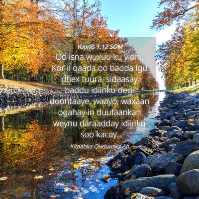 Picture 04 - Yoonis 1:12 SOM - Oo isna wuxuu ku yidhi, Kor ii qaada oo badda igu - Bible Verse Picture