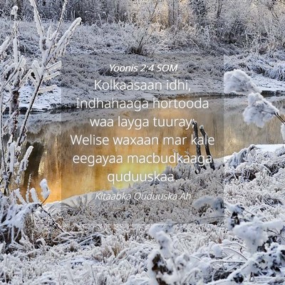 Picture 04 - Yoonis 2:4 SOM - Kolkaasaan idhi, Indhahaaga hortooda waa layga - Bible Verse Picture