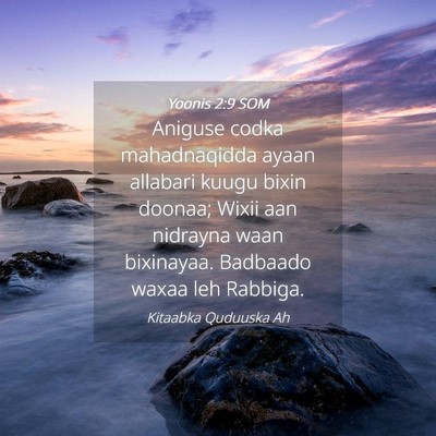Picture 04 - Yoonis 2:9 SOM - Aniguse codka mahadnaqidda ayaan allabari kuugu - Bible Verse Picture