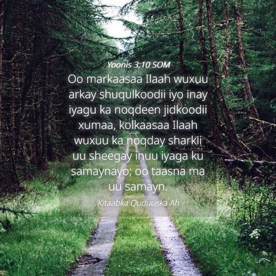 Picture 04 - Yoonis 3:10 SOM - Oo markaasaa Ilaah wuxuu arkay shuqulkoodii iyo - Bible Verse Picture