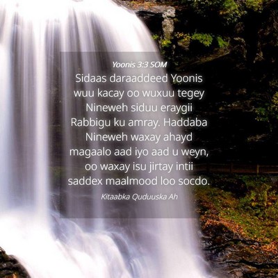 Picture 04 - Yoonis 3:3 SOM - Sidaas daraaddeed Yoonis wuu kacay oo wuxuu tegey - Bible Verse Picture