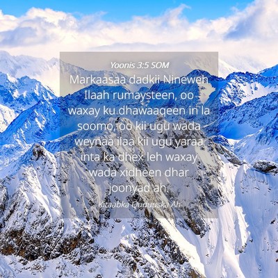 Picture 04 - Yoonis 3:5 SOM - Markaasaa dadkii Nineweh Ilaah rumaysteen, oo - Bible Verse Picture
