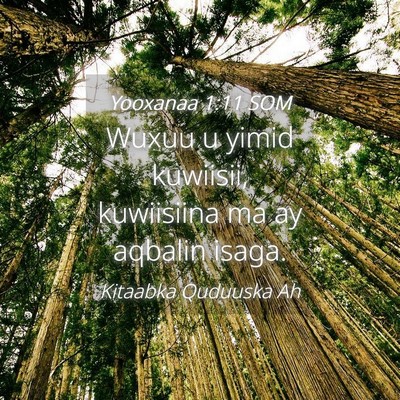 Picture 04 - Yooxanaa 1:11 SOM - Wuxuu u yimid kuwiisii, kuwiisiina ma ay aqbalin - Bible Verse Picture