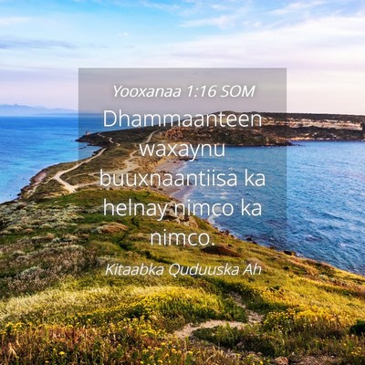 Picture 04 - Yooxanaa 1:16 SOM - Dhammaanteen waxaynu buuxnaantiisa ka helnay - Bible Verse Picture