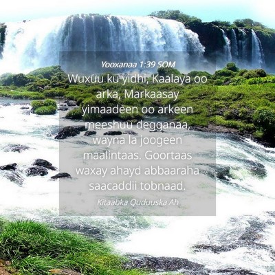 Picture 04 - Yooxanaa 1:39 SOM - Wuxuu ku yidhi, Kaalaya oo arka, Markaasay - Bible Verse Picture