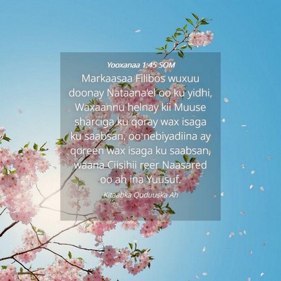 Picture 04 - Yooxanaa 1:45 SOM - Markaasaa Filibos wuxuu doonay Nataana'el oo ku - Bible Verse Picture