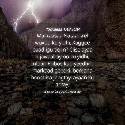Picture 04 - Yooxanaa 1:48 SOM - Markaasaa Nataana'el wuxuu ku yidhi, Xaggee baad - Bible Verse Picture