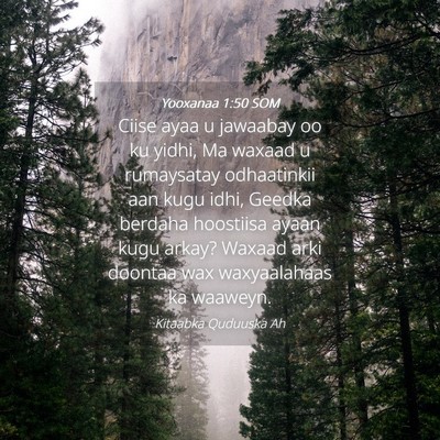 Picture 04 - Yooxanaa 1:50 SOM - Ciise ayaa u jawaabay oo ku yidhi, Ma waxaad u - Bible Verse Picture
