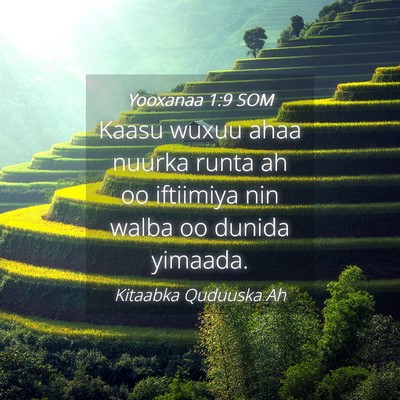 Picture 04 - Yooxanaa 1:9 SOM - Kaasu wuxuu ahaa nuurka runta ah oo iftiimiya nin - Bible Verse Picture