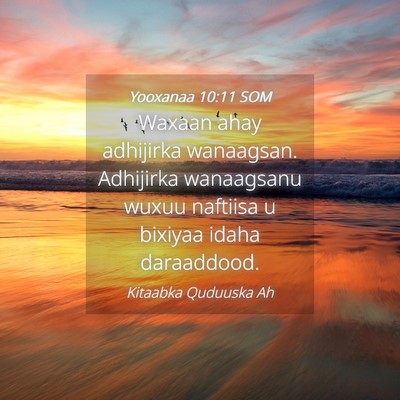 Picture 04 - Yooxanaa 10:11 SOM - Waxaan ahay adhijirka wanaagsan. Adhijirka - Bible Verse Picture
