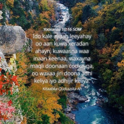 Picture 04 - Yooxanaa 10:16 SOM - Ido kale ayaan leeyahay oo aan kuwa xeradan - Bible Verse Picture