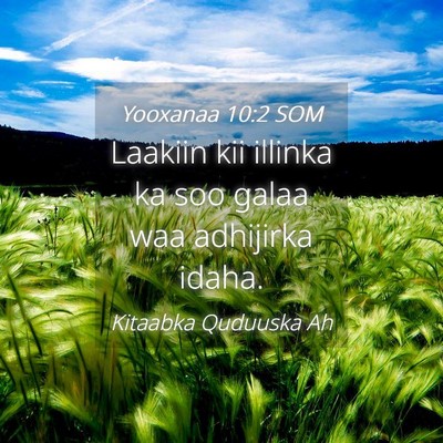 Picture 04 - Yooxanaa 10:2 SOM - Laakiin kii illinka ka soo galaa waa adhijirka - Bible Verse Picture