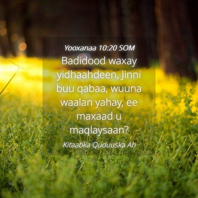 Picture 04 - Yooxanaa 10:20 SOM - Badidood waxay yidhaahdeen, Jinni buu qabaa, - Bible Verse Picture