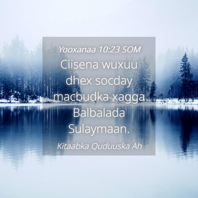 Picture 04 - Yooxanaa 10:23 SOM - Ciisena wuxuu dhex socday macbudka xagga - Bible Verse Picture