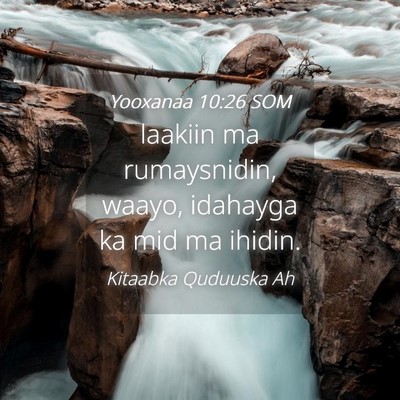 Picture 04 - Yooxanaa 10:26 SOM - laakiin ma rumaysnidin, waayo, idahayga ka mid ma - Bible Verse Picture