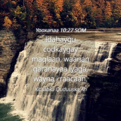 Picture 04 - Yooxanaa 10:27 SOM - Idahaygu codkaygay maqlaan, waanan garanayaa - Bible Verse Picture