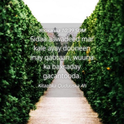 Picture 04 - Yooxanaa 10:39 SOM - Sidaa aawadeed mar kale ayay dooneen inay - Bible Verse Picture