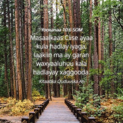 Picture 04 - Yooxanaa 10:6 SOM - Masaalkaas Ciise ayaa kula hadlay iyaga, laakiin - Bible Verse Picture