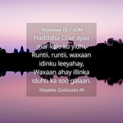 Picture 04 - Yooxanaa 10:7 SOM - Haddaba Ciise ayaa mar kale ku yidhi, Runtii, - Bible Verse Picture