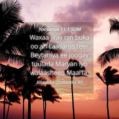 Picture 04 - Yooxanaa 11:1 SOM - Waxaa jiray nin buka oo ah Laasaros reer - Bible Verse Picture