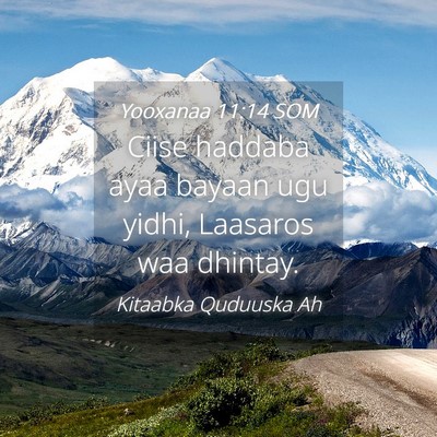 Picture 04 - Yooxanaa 11:14 SOM - Ciise haddaba ayaa bayaan ugu yidhi, Laasaros waa - Bible Verse Picture