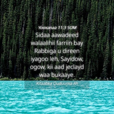 Picture 04 - Yooxanaa 11:3 SOM - Sidaa aawadeed walaalihii farriin bay Rabbiga u - Bible Verse Picture
