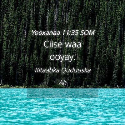 Picture 04 - Yooxanaa 11:35 SOM - Ciise waa - Bible Verse Picture