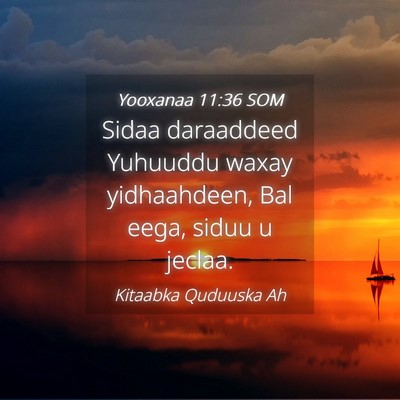 Picture 04 - Yooxanaa 11:36 SOM - Sidaa daraaddeed Yuhuuddu waxay yidhaahdeen, Bal - Bible Verse Picture