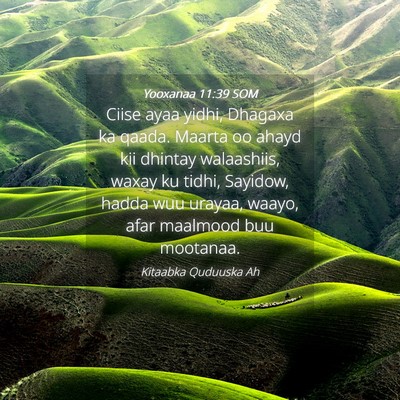 Picture 04 - Yooxanaa 11:39 SOM - Ciise ayaa yidhi, Dhagaxa ka qaada. Maarta oo - Bible Verse Picture