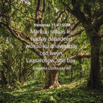 Picture 04 - Yooxanaa 11:43 SOM - Markuu sidaas ku hadlay dabadeed wuxuu ku - Bible Verse Picture