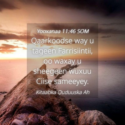 Picture 04 - Yooxanaa 11:46 SOM - Qaarkoodse way u tageen Farrisiintii, oo waxay u - Bible Verse Picture