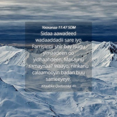 Picture 04 - Yooxanaa 11:47 SOM - Sidaa aawadeed wadaaddadii sare iyo Farrisiintii - Bible Verse Picture
