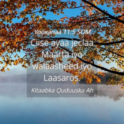 Picture 04 - Yooxanaa 11:5 SOM - Ciise ayaa jeclaa Maarta iyo walaasheed iyo - Bible Verse Picture
