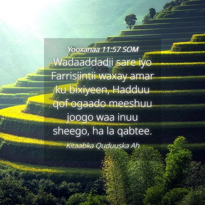 Picture 04 - Yooxanaa 11:57 SOM - Wadaaddadii sare iyo Farrisiintii waxay amar ku - Bible Verse Picture