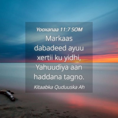 Picture 04 - Yooxanaa 11:7 SOM - Markaas dabadeed ayuu xertii ku yidhi, Yahuudiya - Bible Verse Picture