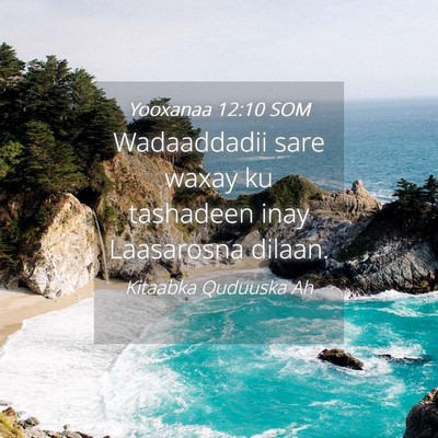 Picture 04 - Yooxanaa 12:10 SOM - Wadaaddadii sare waxay ku tashadeen inay - Bible Verse Picture