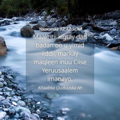 Picture 04 - Yooxanaa 12:12 SOM - Maalintii xigtay dad badan oo u yimid iiddii, - Bible Verse Picture