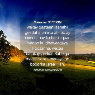 Picture 04 - Yooxanaa 12:13 SOM - waxay qaateen laamihii geedaha timirta ah, oo ay - Bible Verse Picture
