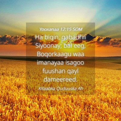 Picture 04 - Yooxanaa 12:15 SOM - Ha biqin, gabadhii Siyoonay; bal eeg, Boqorkaagu - Bible Verse Picture