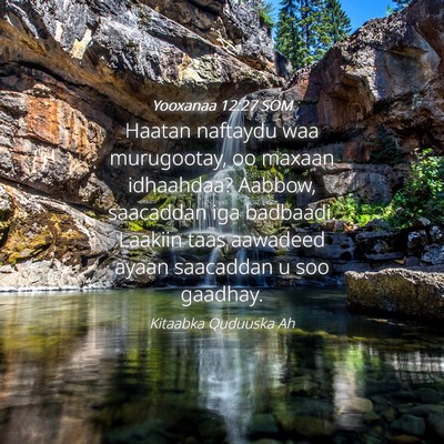 Picture 04 - Yooxanaa 12:27 SOM - Haatan naftaydu waa murugootay, oo maxaan - Bible Verse Picture