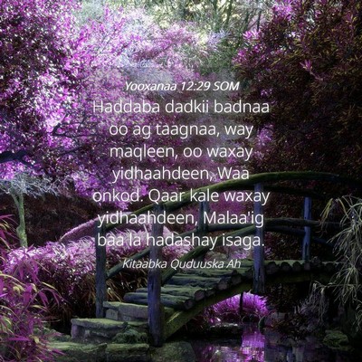 Picture 04 - Yooxanaa 12:29 SOM - Haddaba dadkii badnaa oo ag taagnaa, way maqleen, - Bible Verse Picture