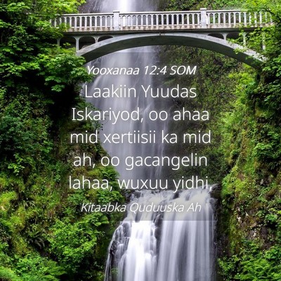 Picture 04 - Yooxanaa 12:4 SOM - Laakiin Yuudas Iskariyod, oo ahaa mid xertiisii - Bible Verse Picture