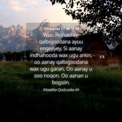 Picture 04 - Yooxanaa 12:40 SOM - Wuu indhatiray, qalbigoodana ayuu engejiyey, Si - Bible Verse Picture