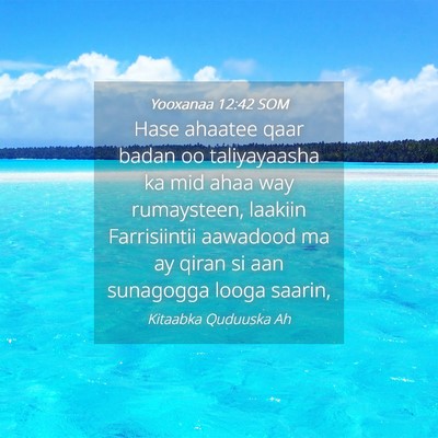 Picture 04 - Yooxanaa 12:42 SOM - Hase ahaatee qaar badan oo taliyayaasha ka mid - Bible Verse Picture