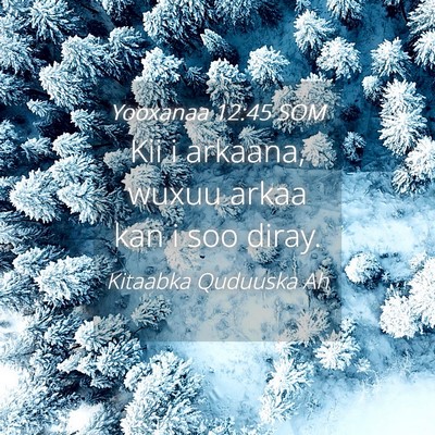 Picture 04 - Yooxanaa 12:45 SOM - Kii i arkaana, wuxuu arkaa kan i soo - Bible Verse Picture
