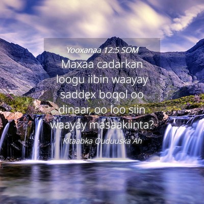 Picture 04 - Yooxanaa 12:5 SOM - Maxaa cadarkan loogu iibin waayay saddex boqol oo - Bible Verse Picture