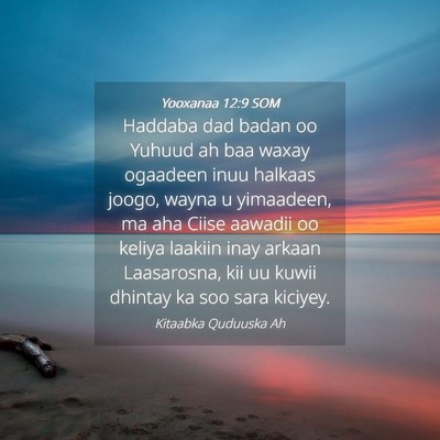 Picture 04 - Yooxanaa 12:9 SOM - Haddaba dad badan oo Yuhuud ah baa waxay ogaadeen - Bible Verse Picture