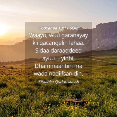 Picture 04 - Yooxanaa 13:11 SOM - Waayo, wuu garanayay kii gacangelin lahaa. Sidaa - Bible Verse Picture
