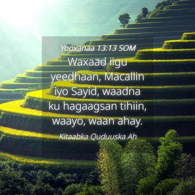 Picture 04 - Yooxanaa 13:13 SOM - Waxaad iigu yeedhaan, Macallin iyo Sayid, waadna - Bible Verse Picture